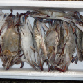 Cheap price factory whole frozen blue swimming crab for sale